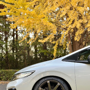 ジェイド FR4