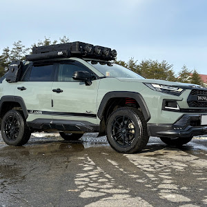 RAV4 AXAH54