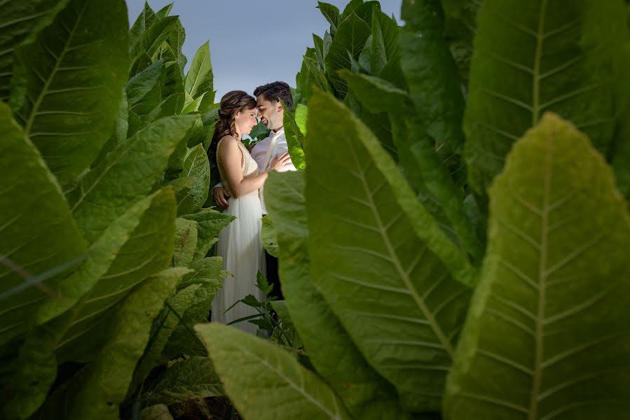 Fotógrafo de bodas Charis Avramidis (charisavramidis). Foto del 6 de agosto 2021