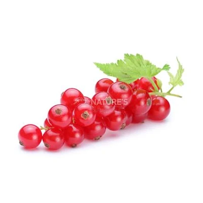 Red Currant - Exotic - 300 g