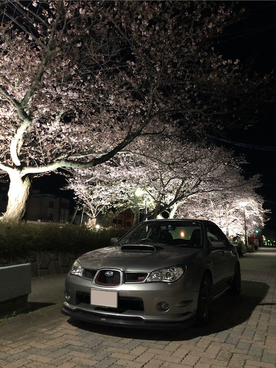 インプレッサ WRX STIの早朝徘徊・早朝ドライブ・桜とコラボ・貸切状態・早起きは三文の徳に関するカスタム事例の投稿画像2枚目