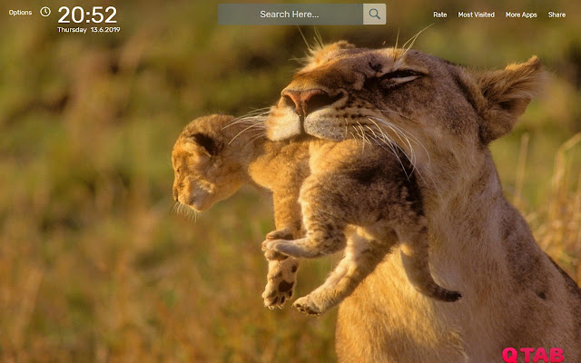 Baby Animals Wallpapers New Tab Theme