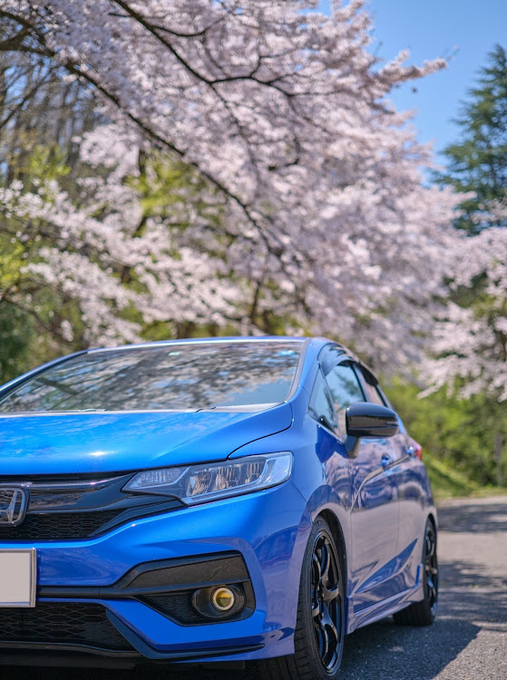 フィットの新潟・撮影・桜・桜とコラボ・ドライブに関するカスタム事例の投稿画像3枚目