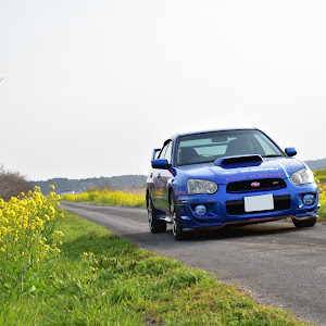 インプレッサ WRX STI GDB