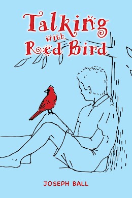 Talking with Red Bird cover