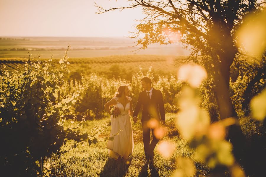 Fotógrafo de bodas Attila Tar (attila). Foto del 10 de junio 2017