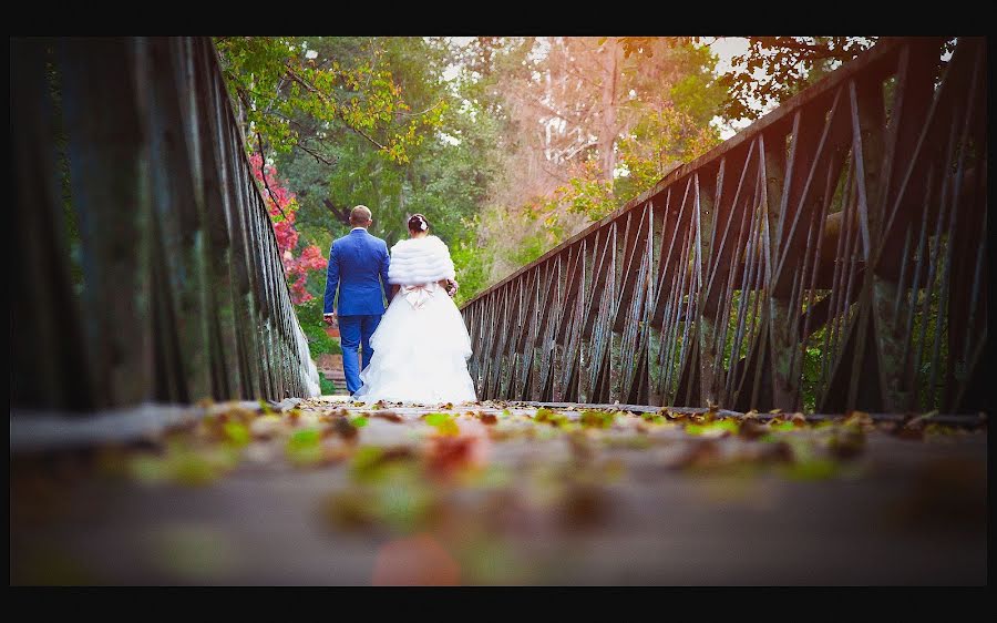 結婚式の写真家Dmitriy Volkov (pasitrua)。2013 9月25日の写真