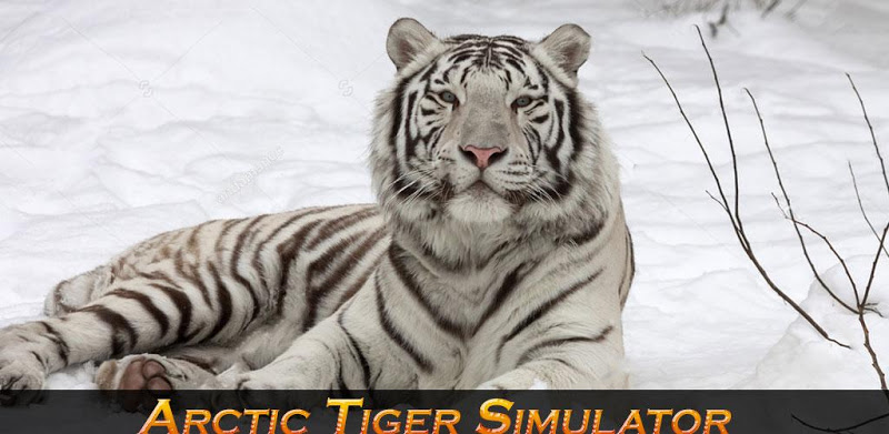 Arctic Tiger Simulator: Wild Family Survival