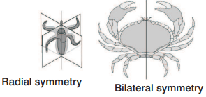 Solution Image