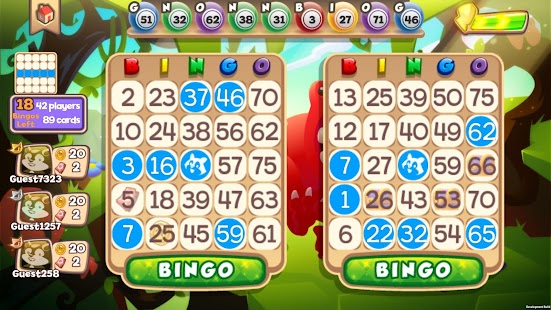 Bingo Raccoon Screenshots 5