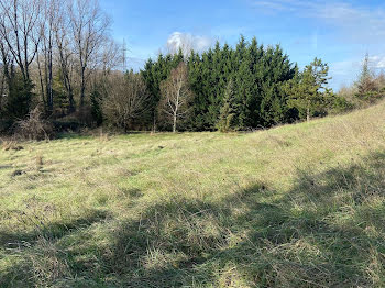 terrain à Saint-Maurice-l'Exil (38)