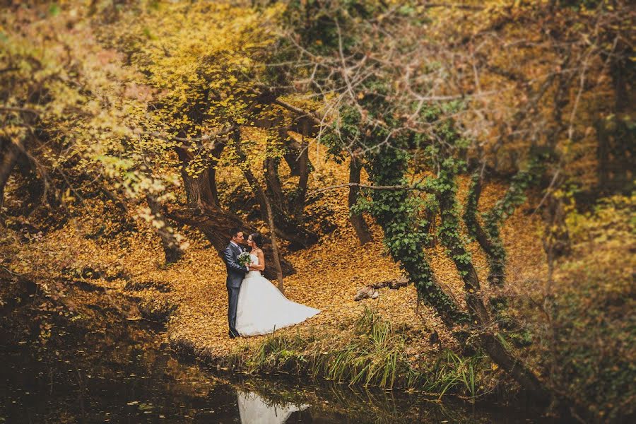 Wedding photographer Darya Sverchkova (sver4kov). Photo of 17 February 2014