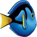 DORy