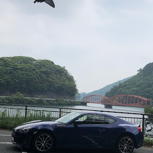 BRZ ZC6