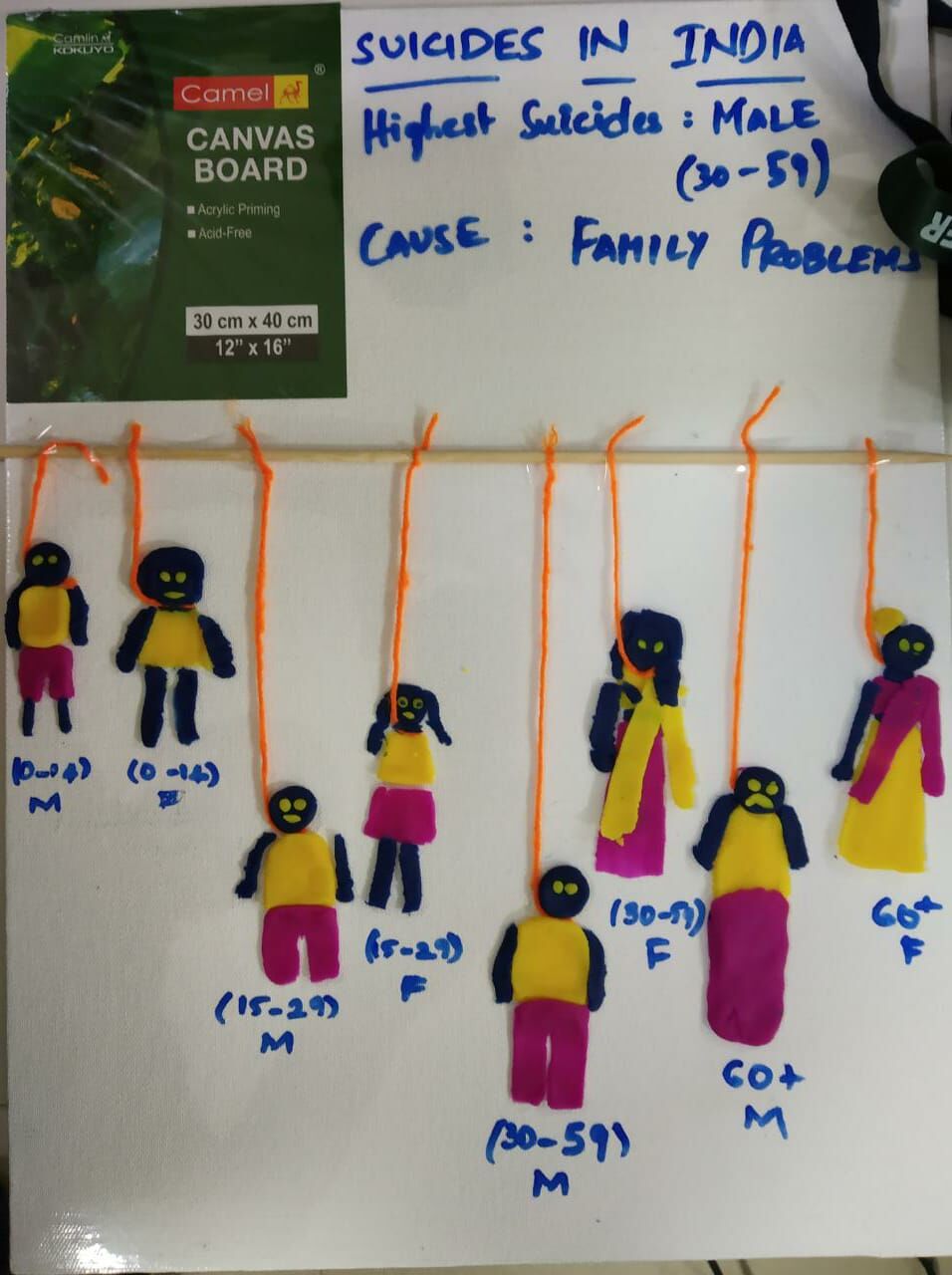 this is an image of a physical data visualization that represents the number of suicides in india made by padma lahari at gramener.