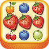 Fruit Collapse icon