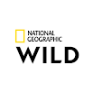 NatGeo Wild