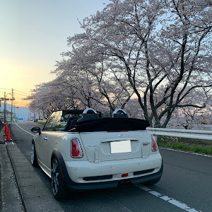 ミニ コンバーチブル