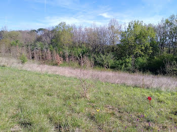 terrain à Montauban (82)