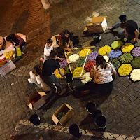 lungo lavoro per un infiorata di 