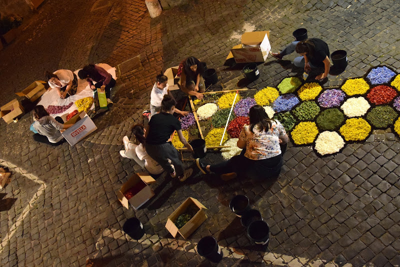 lungo lavoro per un infiorata di irina sirbu