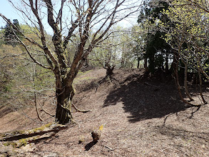 広い尾根に