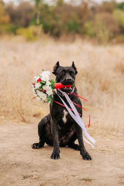 Fotograf ślubny Anna Bukreeva (annabook). Zdjęcie z 16 sierpnia 2019