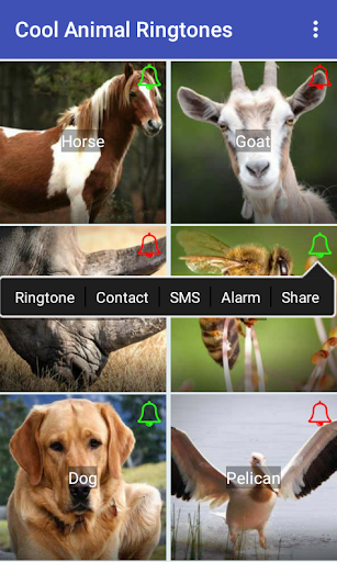 Cool Animal Ringtones