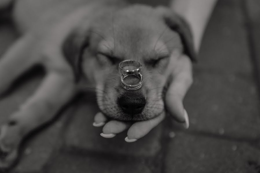 Fotógrafo de casamento Oksana Khudoshina (fotografksana). Foto de 17 de agosto 2021