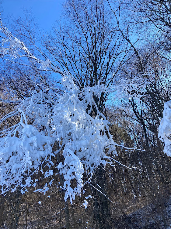 の投稿画像3枚目