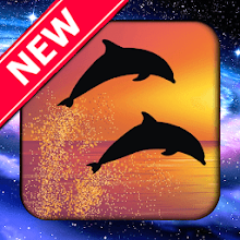 Baby Dolphin Wallpaper - Latest version for Android - Download APK