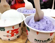 Natural Ice Cream photo 8