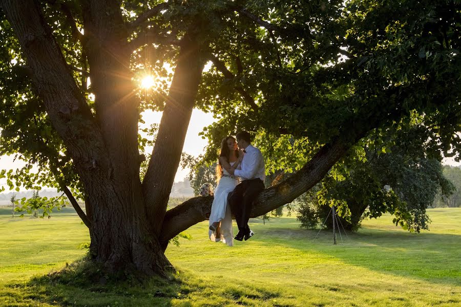 Fotografo di matrimoni Yuriy Matveev (matveevphoto). Foto del 27 luglio 2017