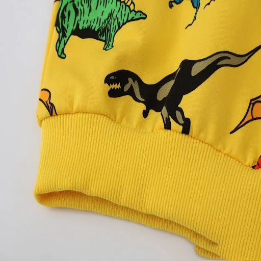 Title 8, Cartoon Dinosaur Print Childrens Tops, soft an...