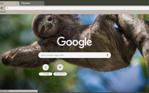 Sloth Preview 1