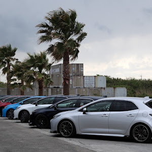 カローラスポーツ NRE210H