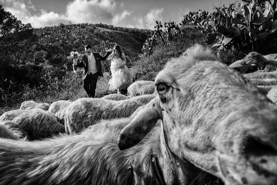 Wedding photographer Maurizio Mélia (mlia). Photo of 24 September 2019