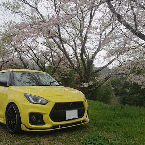 スイフトスポーツ ZC33S