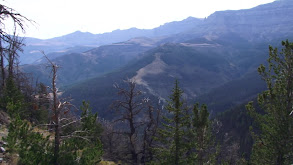 Wyoming Public Land DIY Backcountry thumbnail