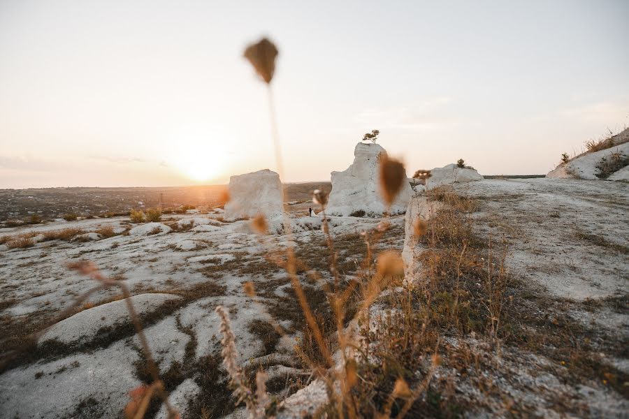 Fotógrafo de casamento Oleg Shvec (svetoleg). Foto de 28 de agosto 2023