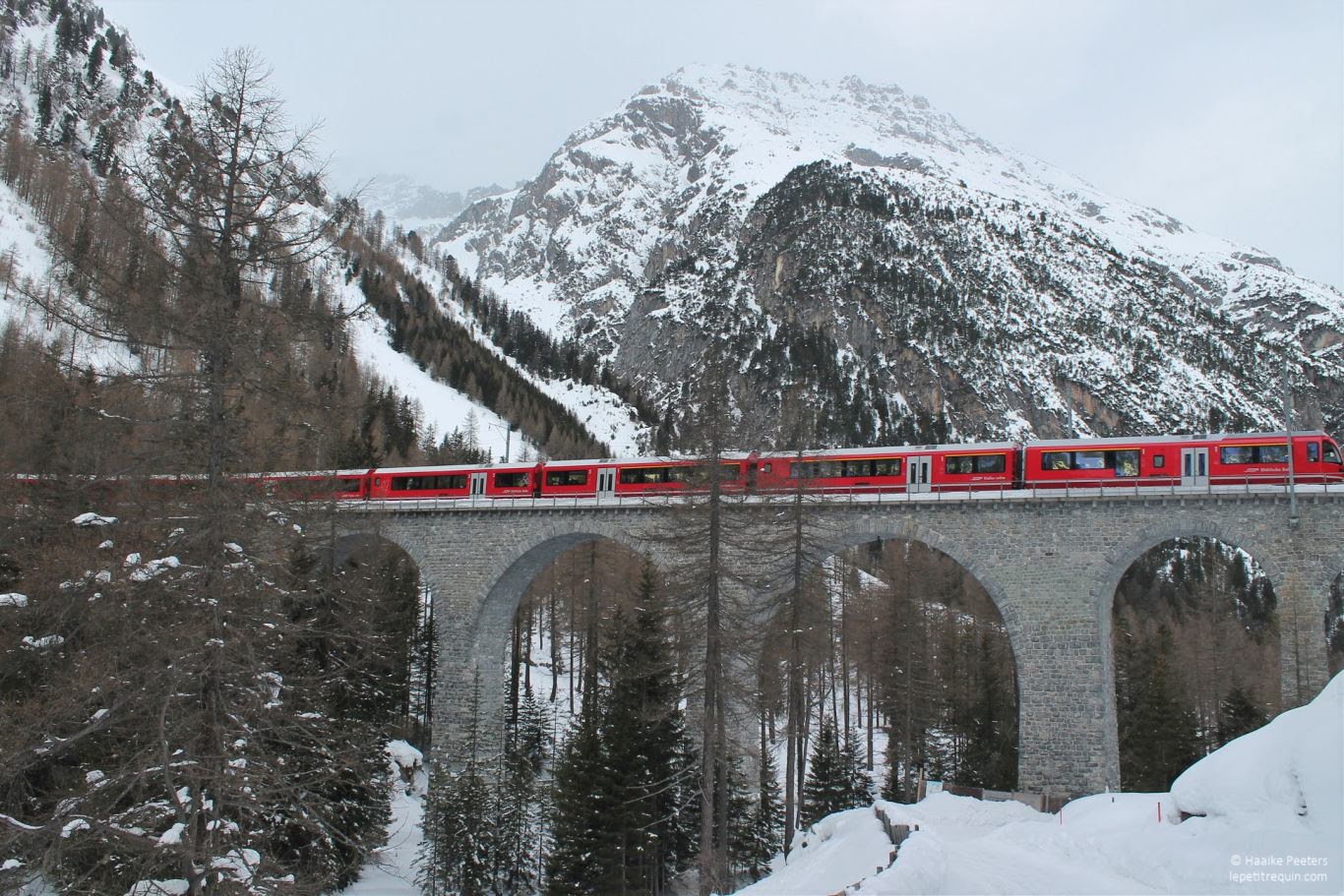 Albulabahn (Le petit requin)