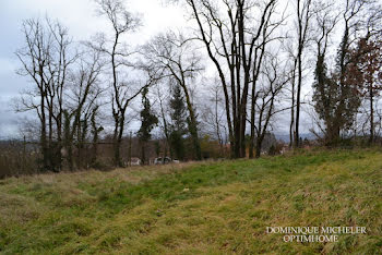 terrain à Saint-die-des-vosges (88)