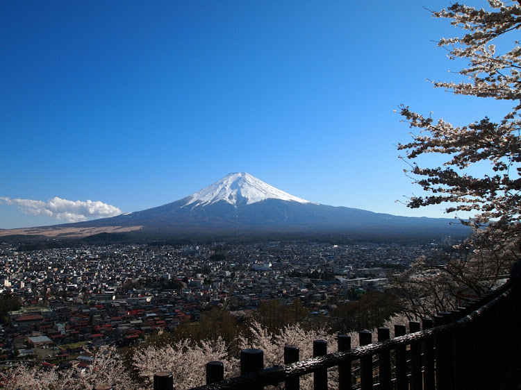 フェアレディZの富士山・新倉山浅間公園・さくら🌸・富士吉田市に関するカスタム事例の投稿画像3枚目