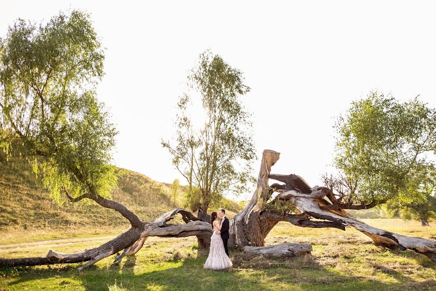 Fotografer pernikahan Nikolay Shepel (kkshepel). Foto tanggal 28 September 2015