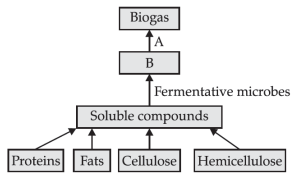 Microbes in production of biogas