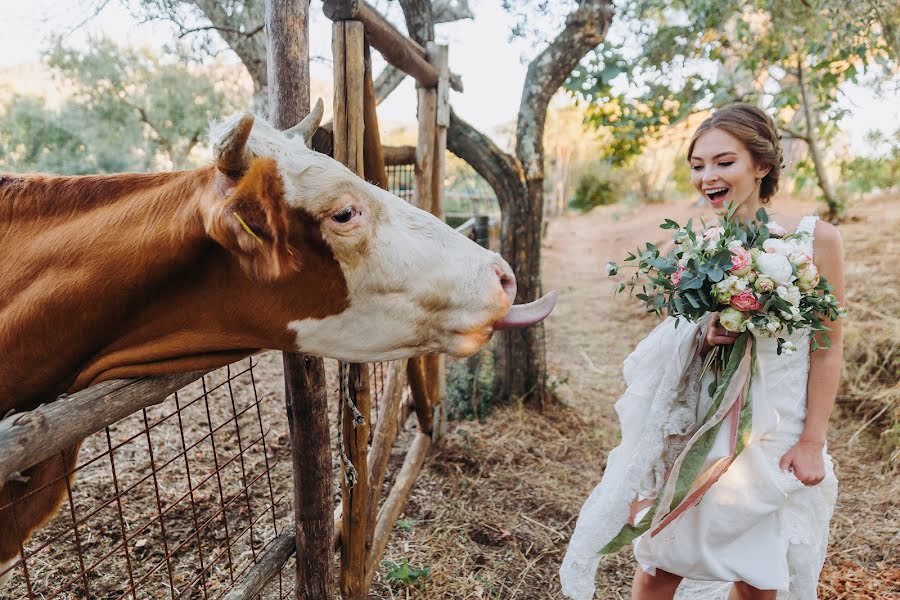 結婚式の写真家Anna Evgrafova (fishfoto)。2017 11月6日の写真