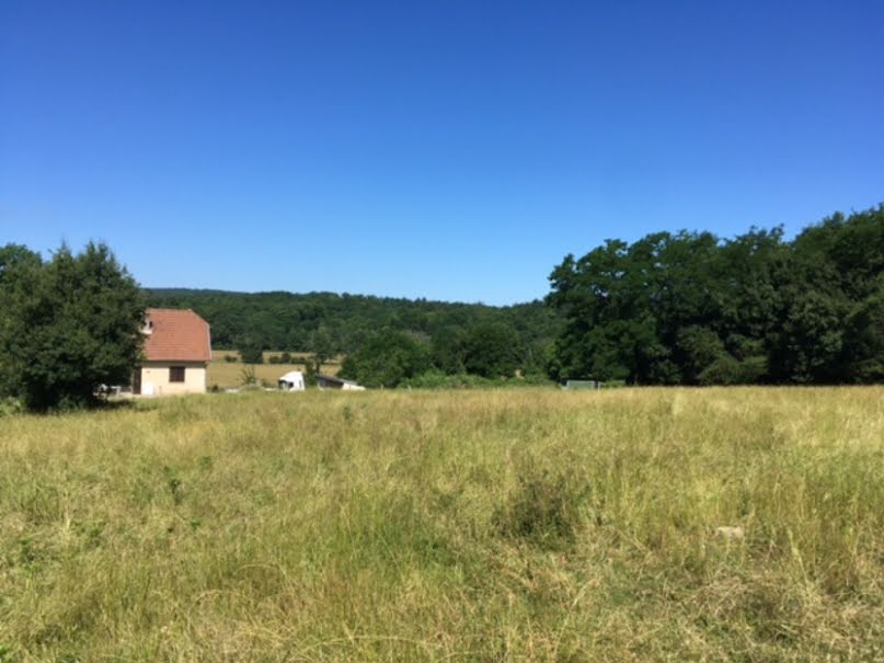 Vente terrain  12252 m² à Chaux-lès-Port (70170), 98 000 €