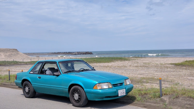 モンテカルロのDodge・Ford・Chevrolet・4th of July・Independence Dayに関するカスタム事例の投稿画像7枚目