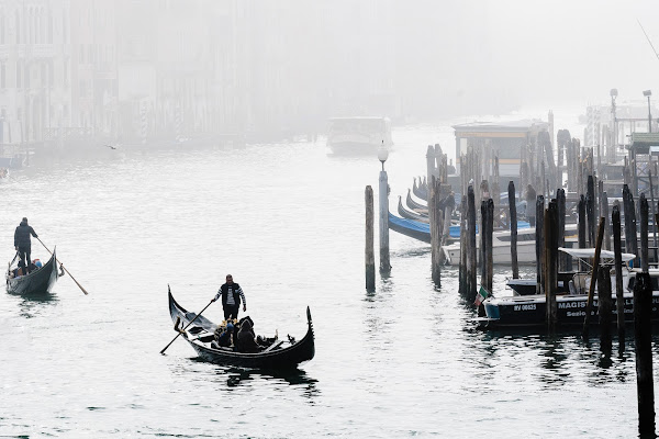 SERENISSIMA FOSCHIA di pampurio