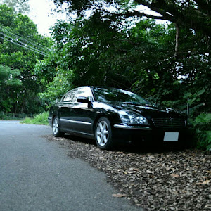 シーマ GF50